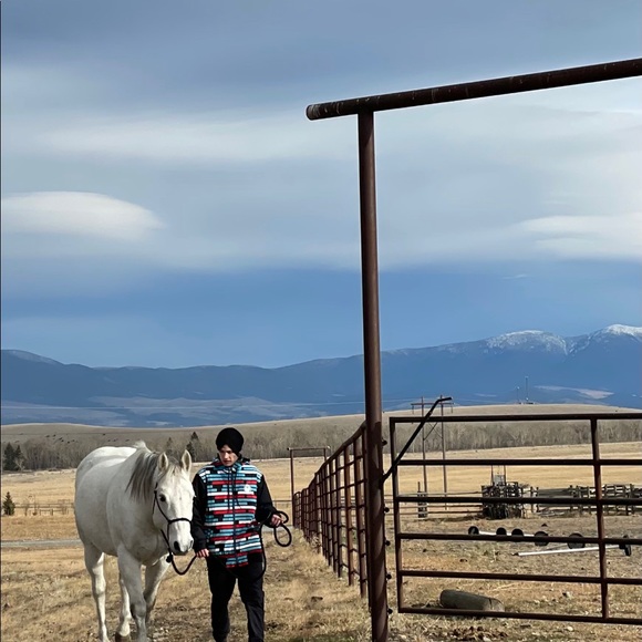 Meet your Posher, Nicholas - Picture 4 of 9